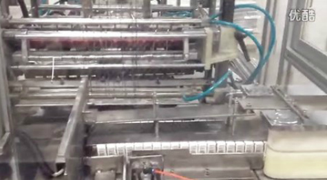 藥廠后道包裝生產線